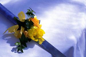 2025年最新！新宿エリアで最も信頼できる結婚相談所の選び方と成功の秘訣