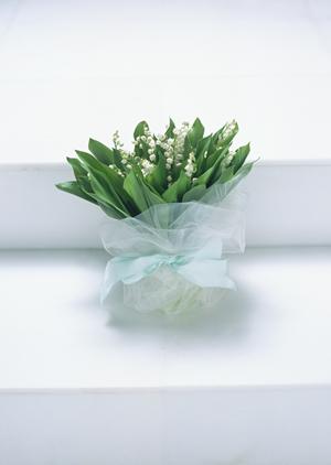 多数の喜びの声が上がる国際結婚相談所